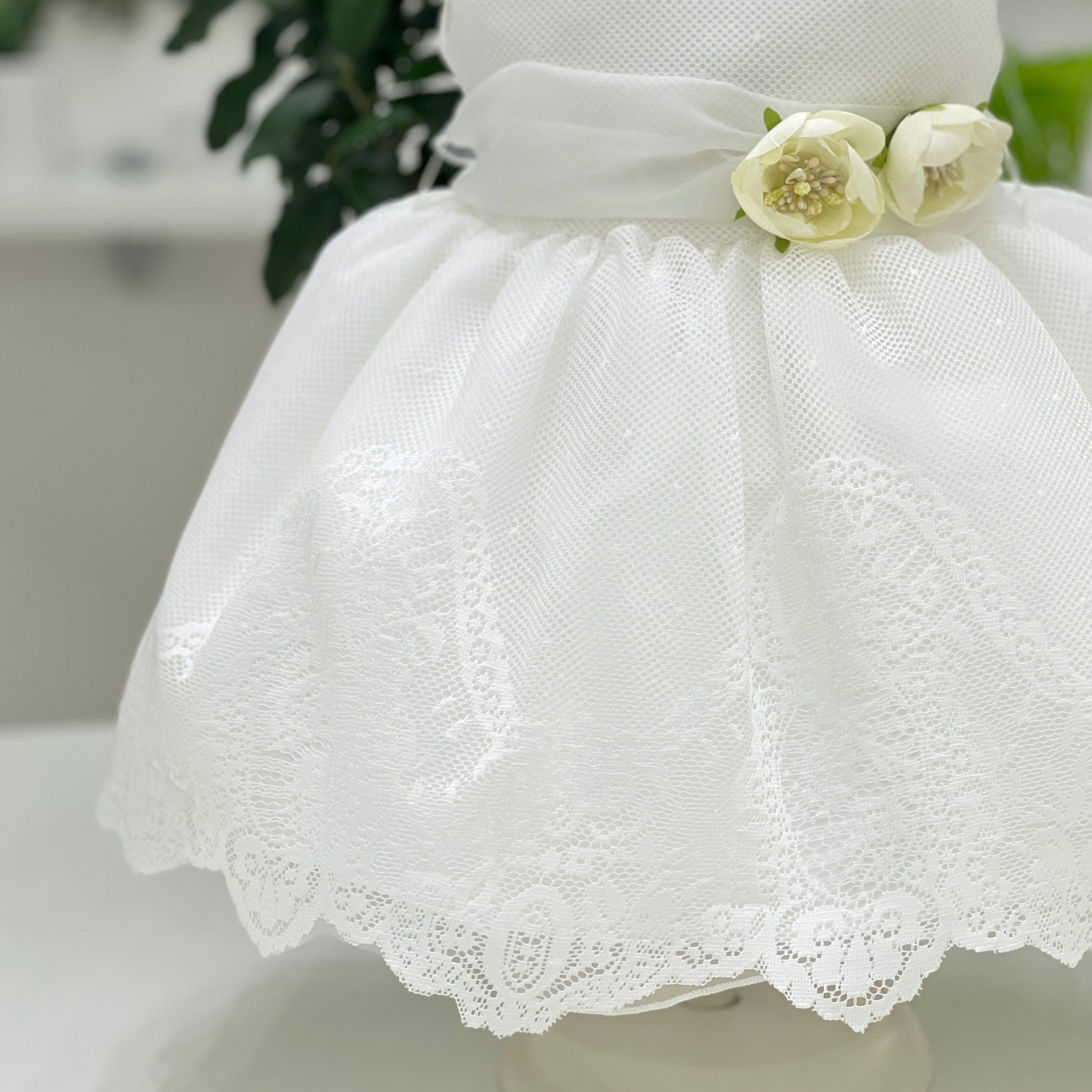Luxury Dress 214