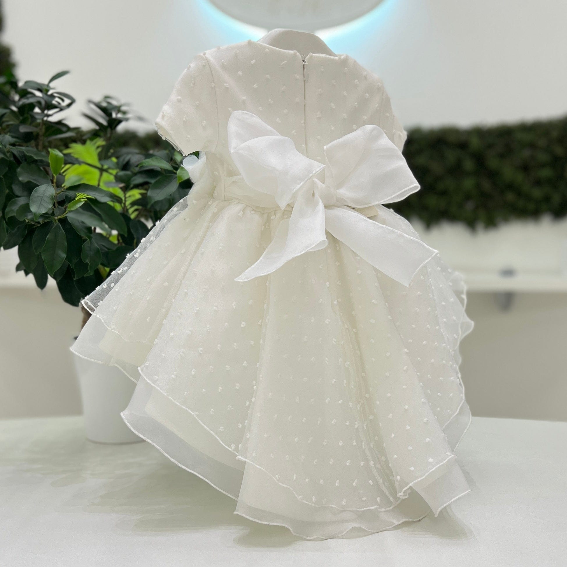 Luxury Dress 185