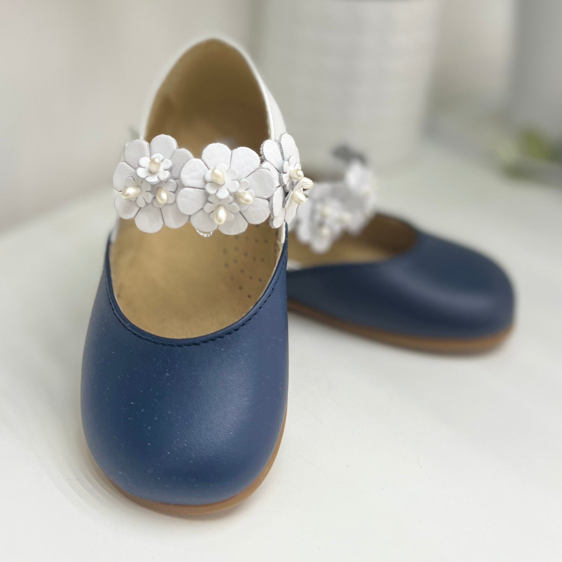Ballerina bicolor