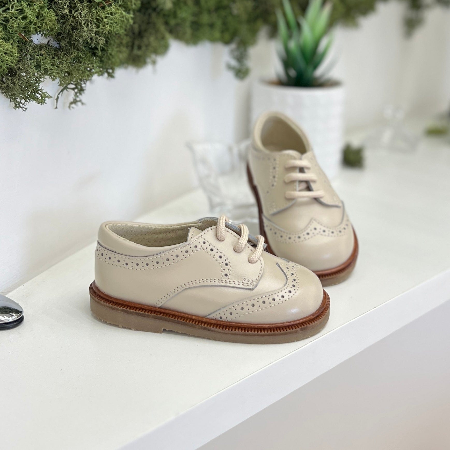 Scarpa elegante stringata