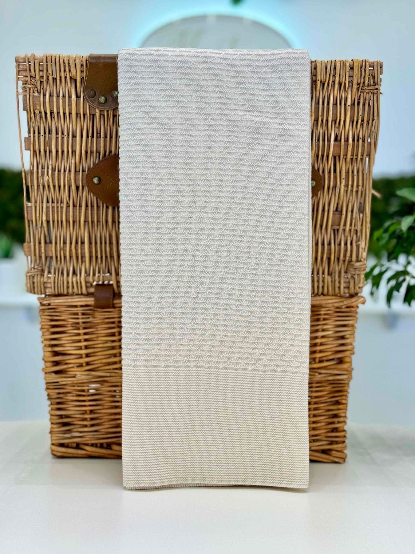 TO43 - copertina - MAC ILUSION