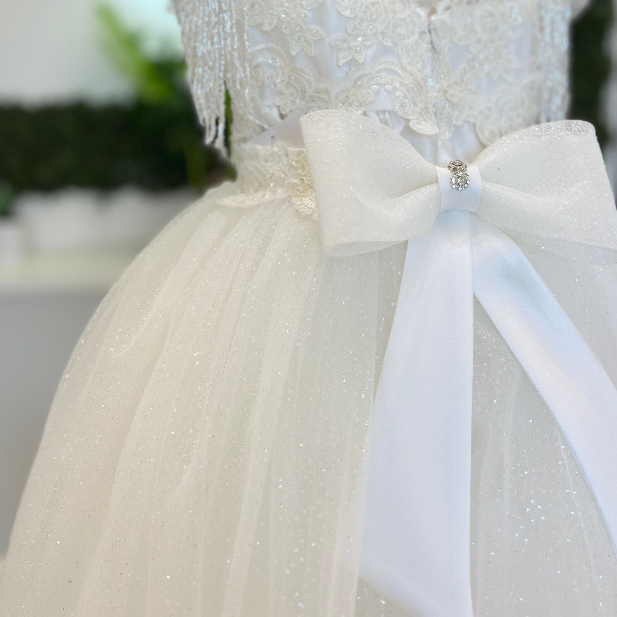 Luxury Dress Princess