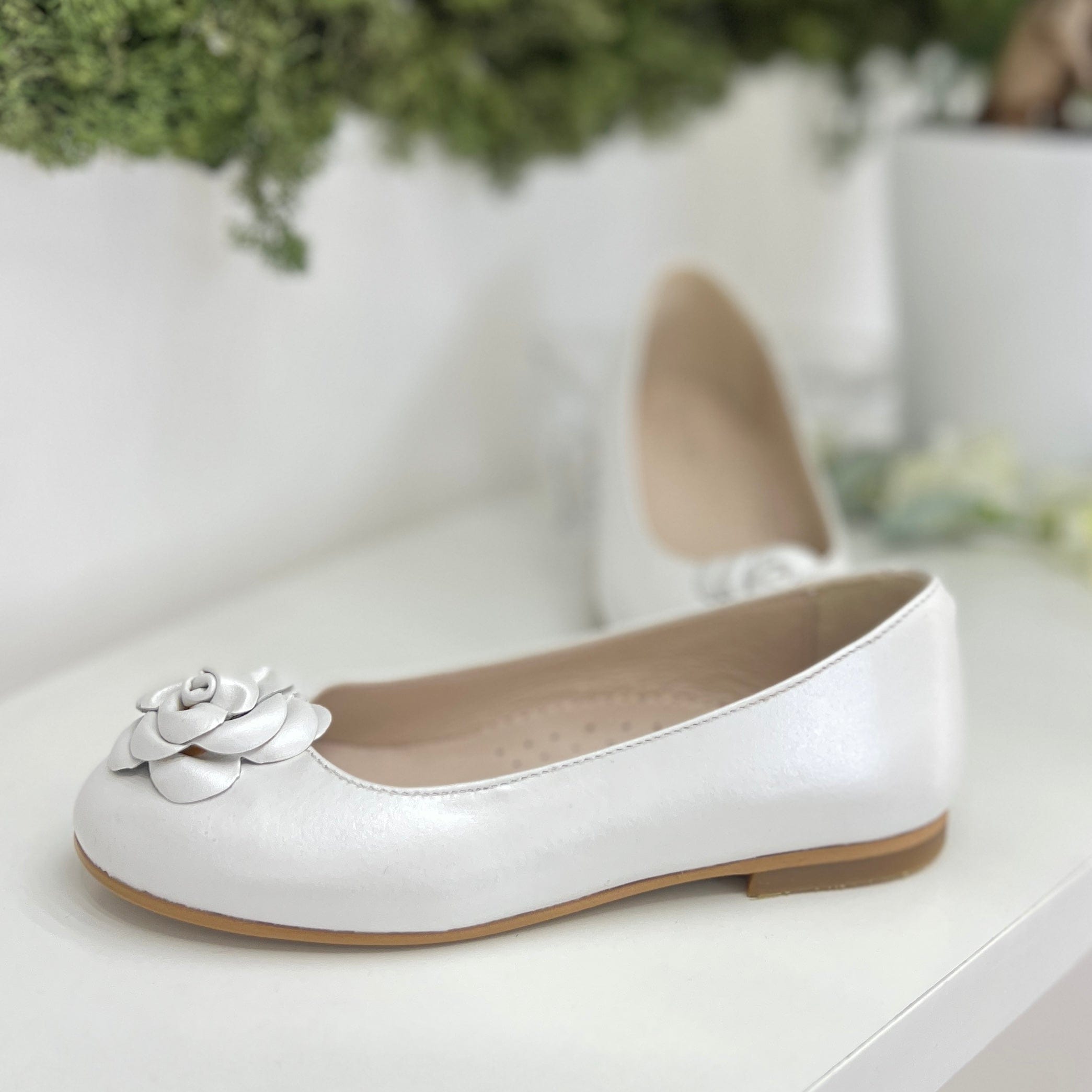 Ballerina con fiore - Panyno